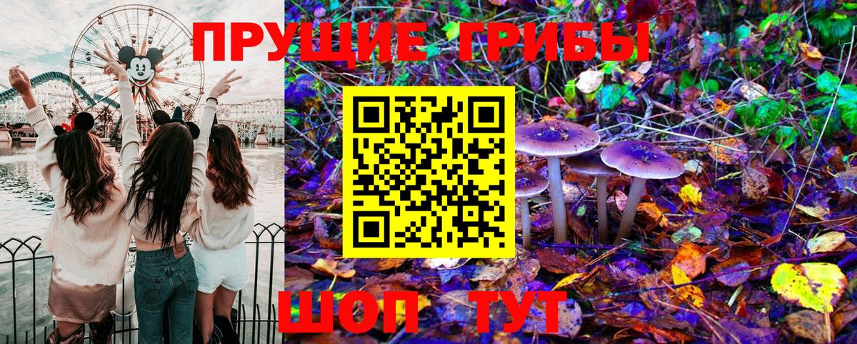 Галлюциногенные грибы GOLDEN TEACHER  Вход с VPN  Котельники 